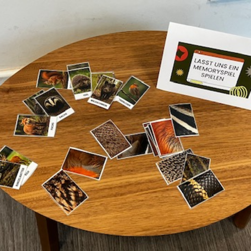 Ein Tisch mit einem Memoryspiel